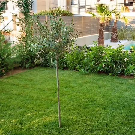 Olive 303 * Περαία