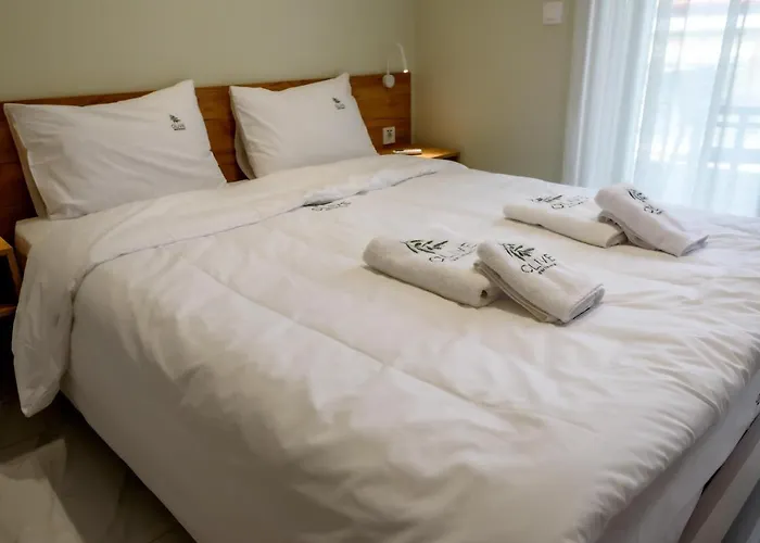 Olive 303 Περαία